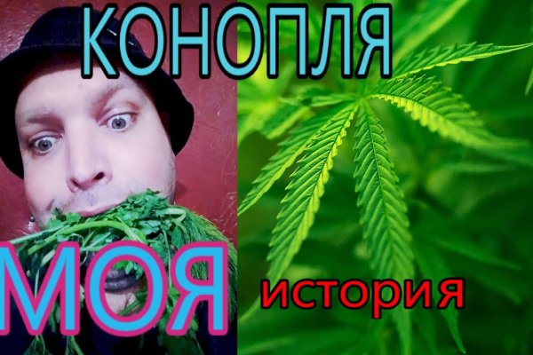 Магазин кракен как попасть