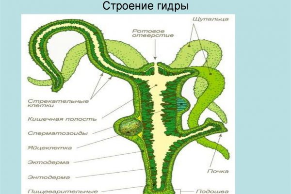 Кракен современный даркнет маркет плейс