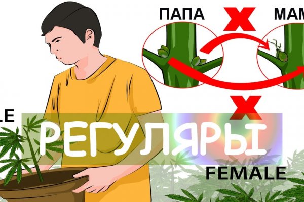 Услуги даркнета