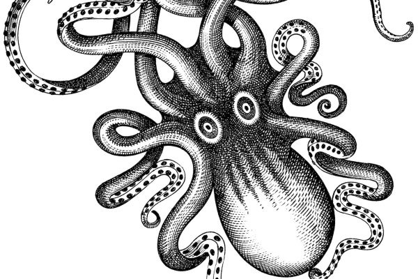 Kraken сайт магазин