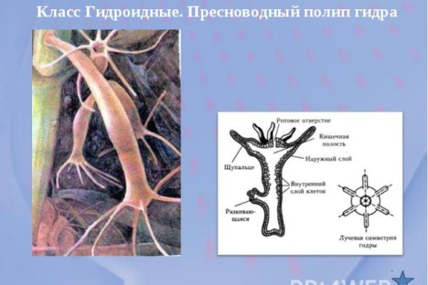 Кракен сайт официальный kraken clear com