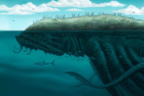 Kraken 23at