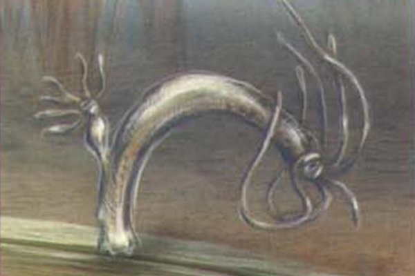Кракен сайт