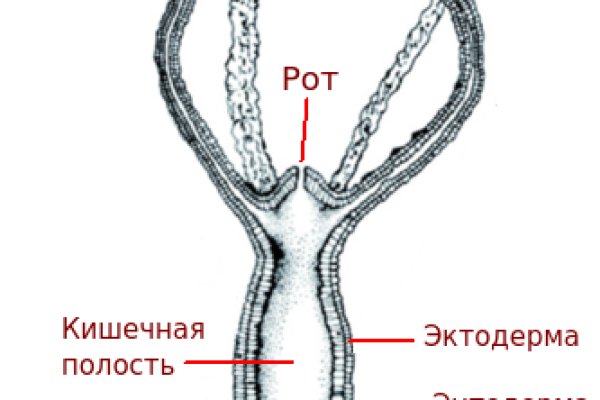 Оригинальная ссылка на магазин кракен