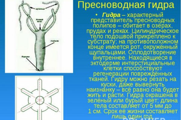 Кракен даркнет store kraken dark link