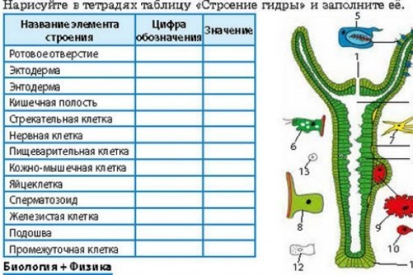 Кракен ссылка 2025
