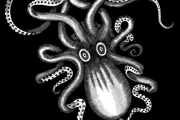 Kraken официальная ссылка