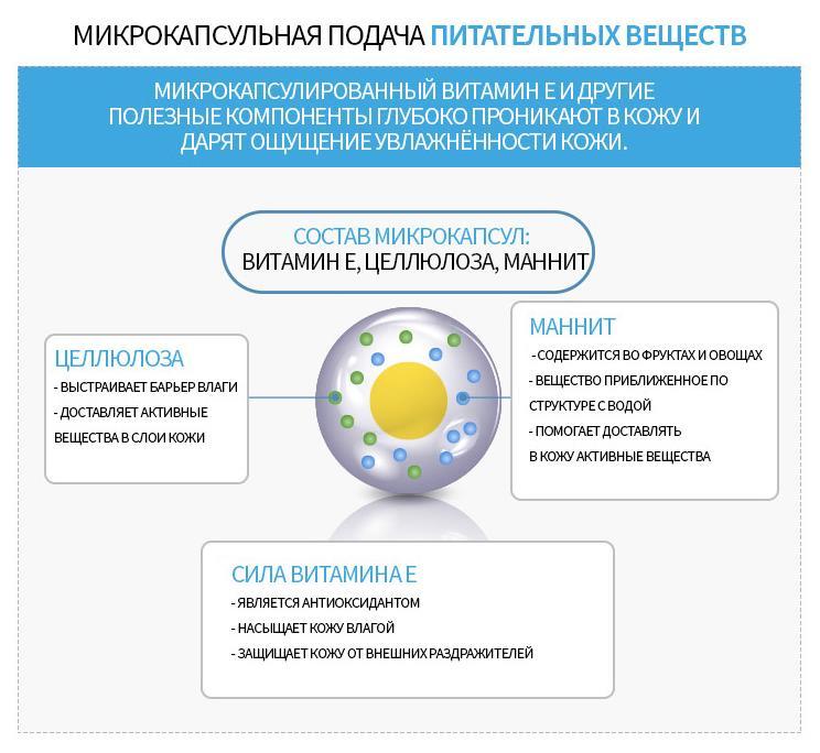 Darknet как войти